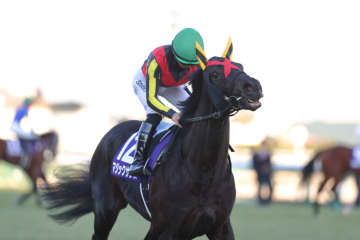 武豊騎手 今週の騎乗馬…マイルCSはマジックサンズで一発を狙う