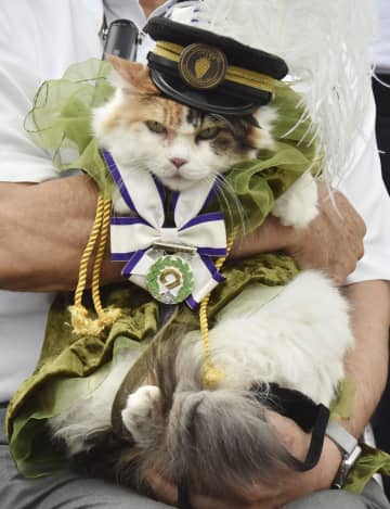 2代目ネコ駅長死ぬ　和歌山電鉄の「ニタマ」