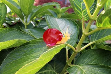 「鉱石」「合金」の殻をもつ「硬つむり」のガチャフィギュアが12月上旬発売本当にいるかも!?と思わせる造形で登場