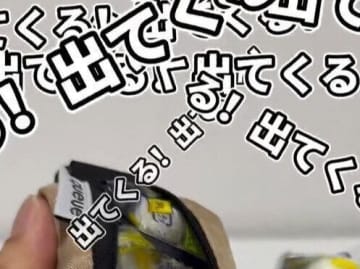 出てくる出てくる…！【セリア】「ビックリするくらいの大容量」スリムポーチのご紹介