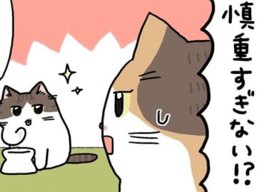 まーくんは慎重派。【てらねこミー子の日常】
