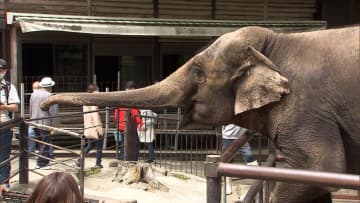 園内でゾウに踏まれたか…額から血を流し男性飼育員が死亡　千葉「市原ぞうの国」