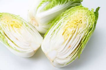 「傷んでると思ってそいでた」　実は食べられる白菜の黒い斑点　農水省の呼びかけに驚きの声