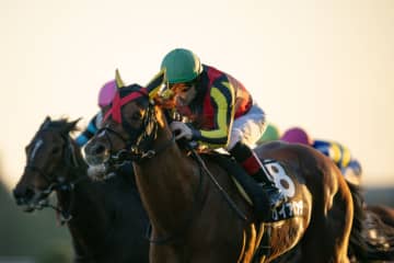 【ドンカスターC 】C.ルメール騎乗 ガイアメンテが人気に応える