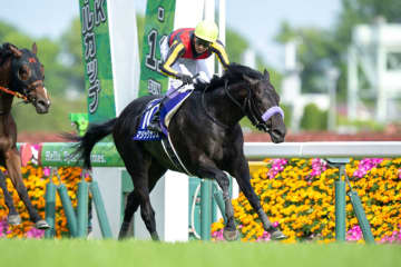 【武豊日記】今週も京都でのG1が続きます