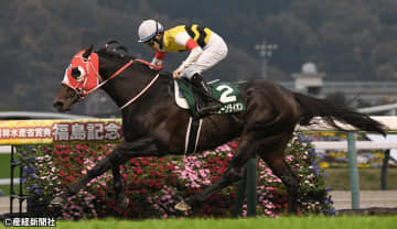 【福島記念】外枠が勝つのはミラクルレベル？ 過去10年の傾向から見える買えない馬とは！？