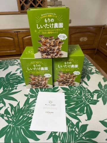 自宅でできる「きのこ狩り」