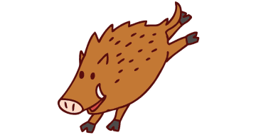 【11/21更新】あのイノシシは今どこに？！新浦安エリアで相次ぐ出没！【浦安市公式サイト更新情報】