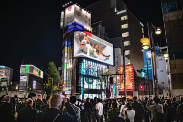 【新宿の新たな顔】「新宿東口の猫」直下に韓国人気アイウェアブランド「BLUE ELEPHANT」の日本フラッグシップストアがオープン！