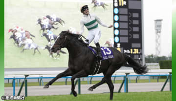 【マイルチャンピオンシップ】富士S組の①人気は確実にチェック！ 過去10年の傾向から考える攻略ポイント！