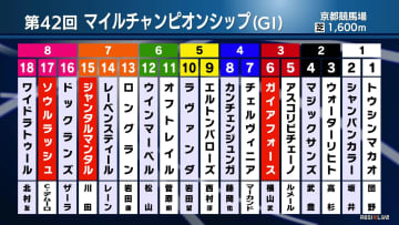 【マイルCS】ジャンタルマンタルが春秋制覇か！？ ソウルラッシュの連覇か！？ ガイアフォースの悲願のGI初Vか！？