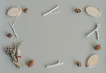 世界にひとつだけ！森の素材で「木の実のクリスマスリース」を作ろう！【自然観察とクラフト教室】びわこ地球市民の森にて開催