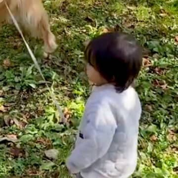 小さい男の子が大型犬のリードを持った結果→走ることもできるのに…『驚きの行動』に感動が止まらないと絶賛「賢すぎる」「歩調に合わせてる」