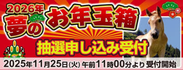 ヨドバシ・ドット・コム「2026年 夢のお年玉箱」の抽選申し込みが25日11時スタート