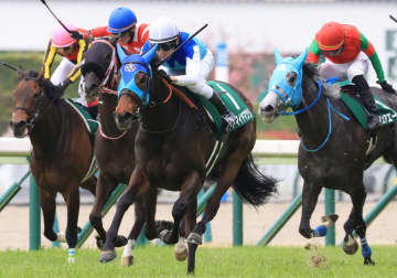 アドマイヤマツリの登録抹消…今後は繁殖入り