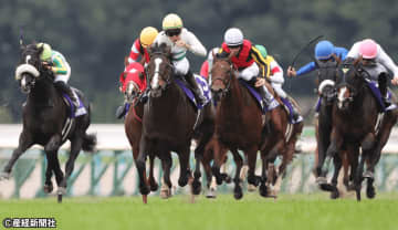 【マイルチャンピオンシップ】穴狙いなら当日の馬体重を要確認！ 過去10年の傾向から見えてくる波乱の主役となり得る馬とは