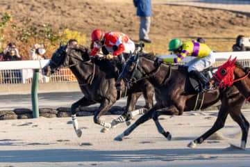 【福島放送賞】ルージュアズライトが抜け出す…断然人気シュヴァルボヌールは3着