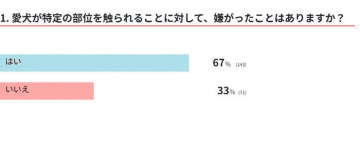 犬の触られたくない場所はどこ？触る際の注意点と獣医師が教えるポイント