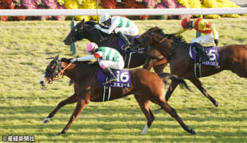 【マイルチャンピオンシップ】ボックス馬券で十分元は取れる？ 過去10年の傾向から考える3連単を的中させる軸馬の狙い方とは