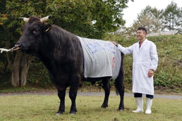 「いわて牛」ブランド力アップに期待　血統の子、検定最高峰評価の種牛登場