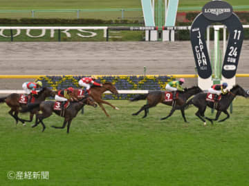 【東京スポーツ杯２歳Ｓ】まさかの連対なし！買ってはいけない馬券とは！？