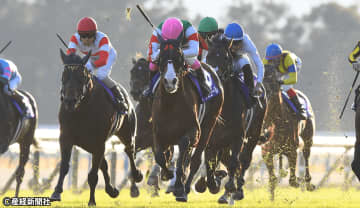 【マイルチャンピオンシップ】上位人気でも過信は禁物？ 過去10年の傾向から見えてくる”買えない馬”とは！？