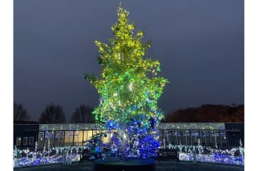 【2025年】奈良イルミネーション7選！冬の人気スポット＆穴場も