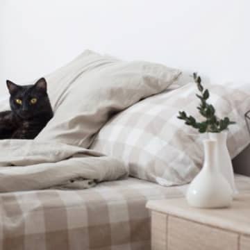 猫が『飼い主の枕』で寝ようとする理由5選　可愛い心理や一緒に寝るときの注意点も解説