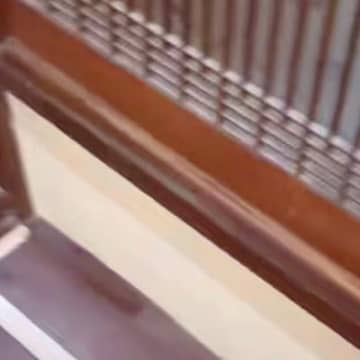 家にお客さんがやってきたら『臆病な秋田犬』が行方不明になり…衝撃的な『まさかの隠れ方』が22万再生「どうしてこうなったｗ」「吹いたｗ」