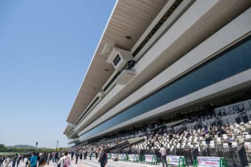 幸英明騎手、浜中俊騎手、高倉稜騎手が落馬…23日は全て乗り替わり
