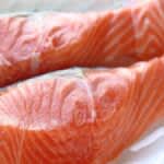 北海道大学と函館市　国産キングサーモンの完全養殖に初めて成功