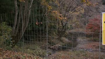 自宅の庭先でクマに襲われ74歳男性ケガ　付近でクマ目撃情報も　栃木・鹿沼市