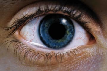 “落ち込む映画”＆“心が砕ける傑作ベスト20”で第1位！トラウマ映画の金字塔『レクイエム・フォー・ドリーム 4Kリマスター』