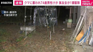 自宅庭でクマに襲われる 74歳男性けが 栃木・鹿沼市