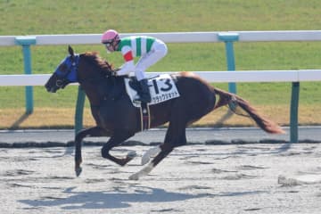 【京都2R】アドマイヤマーズ産駒 クラックショットが6馬身差圧勝