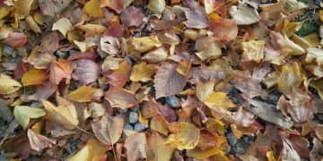 第64回「セックスは、お互いの寄り添う気持ちが大事」