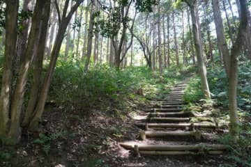 “カンナビ”の響きに神秘の魅力！　京都の低山「甘南備山」 穴場感アリ＆山頂からは絶景！　2時間登山レポ