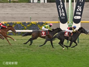 【東京スポーツ杯２歳Ｓ】好走率が高い！その手腕で好走に導く波乱の主役とは！？