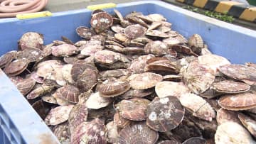 中国が日本産水産物の輸入を事実上停止…日本企業約170社に影響及ぶ可能性