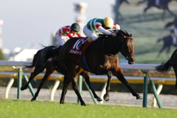 【東スポ杯2歳S】ルメール騎乗 パントルナイーフが重賞初制覇…1番人気ダノンヒストリーは7着