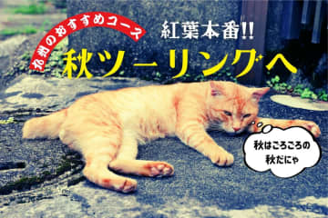 秋の阿蘇・竹田・臼杵へ　九州横断ツーリングルート1泊2日