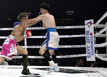 大リーグ、ブルージェイズが広告　WBCバンタム級王座決定戦に