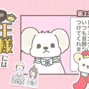 うちの王様にはどうしても抗えない【第331話】「首飾り」