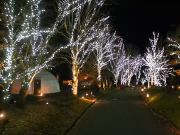 【4万球のLEDが灯るイルミネーションナイト】宿泊料金25％OFFプランもあり！｜グランピングリゾート ブリリアントヴィレッジ日光