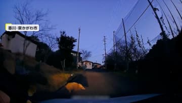 「なんだ？」茂みから突然イノシシ出現…車と衝突　ライトの先にいきなり“親子”イノシシの群れ…衝突は回避　香川