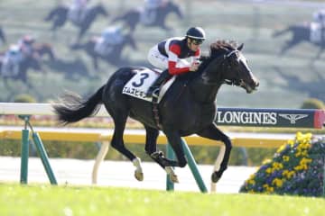 【東京3R】5億9000万円ホースが勝ち上がる