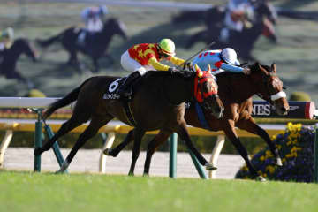 【南武特別】バレンタインガールが激戦を制する…良血アロンズロッドは2着