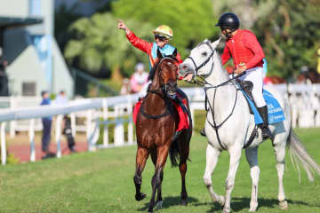 【香港競馬】強すぎる！カーインライジングが15連勝…ジョッキークラブスプリント圧勝