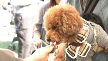 人間同様の食事・薬・マッサージ…　「ペットは家族」市場規模2兆円