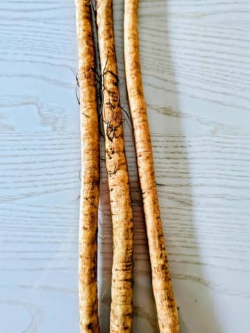 旨味を引き出す！やみつき「ごぼうレシピ」2選